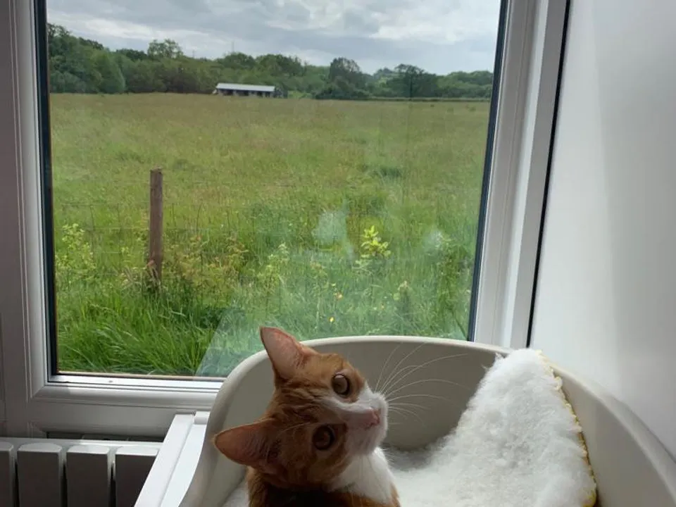 A guest settled with a view