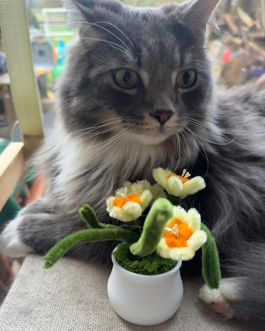 A beautiful long-haired guest with a knitted flower posy