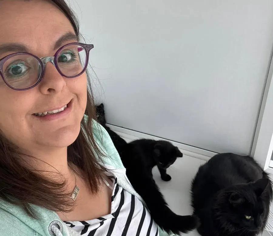 Settling in a rescue cat awaiting rehoming