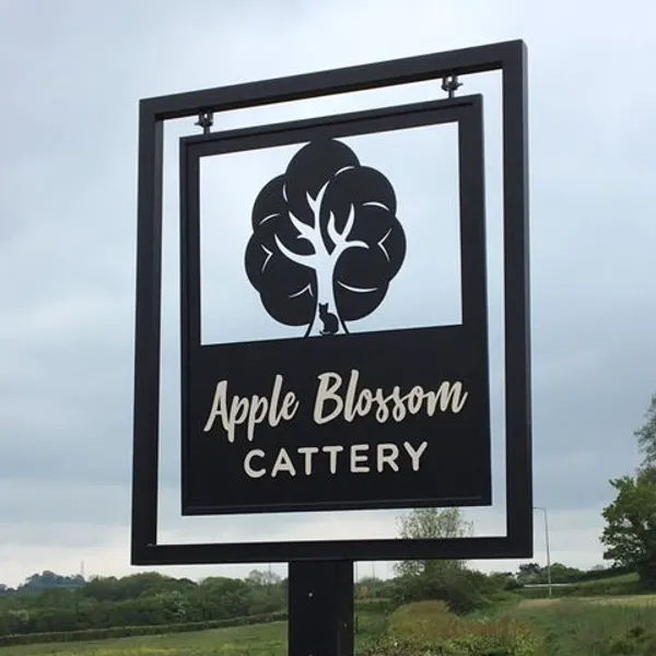 The apple blossom cattery sign