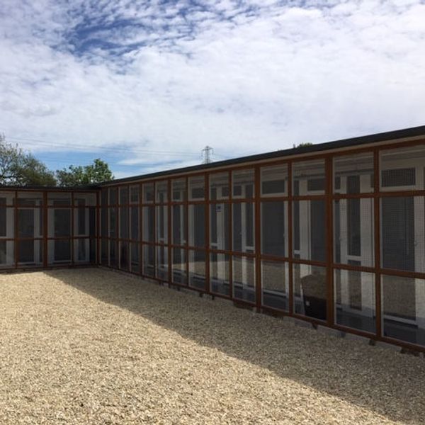 The cattery and its garden run