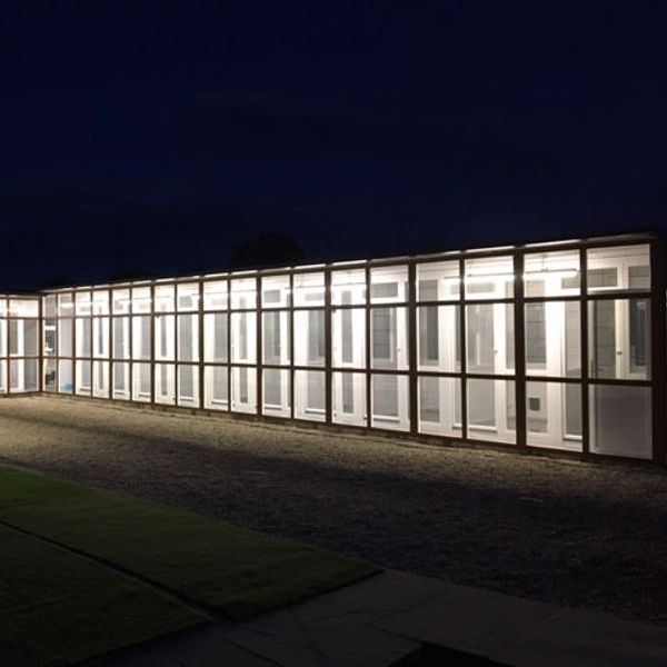 The cattery at dusk