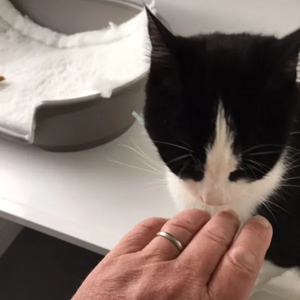 Making friends