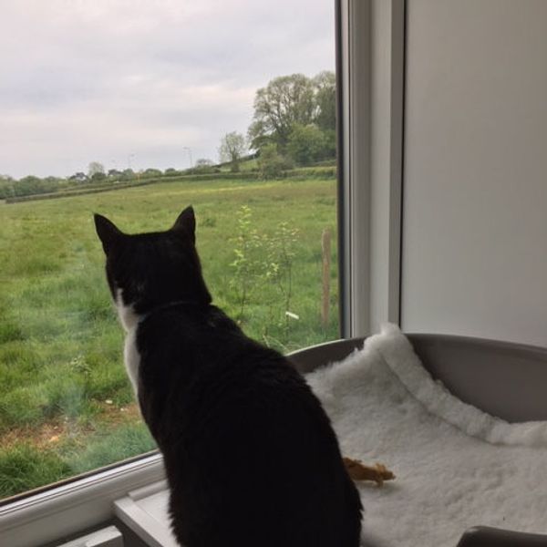 Watching the fields go by