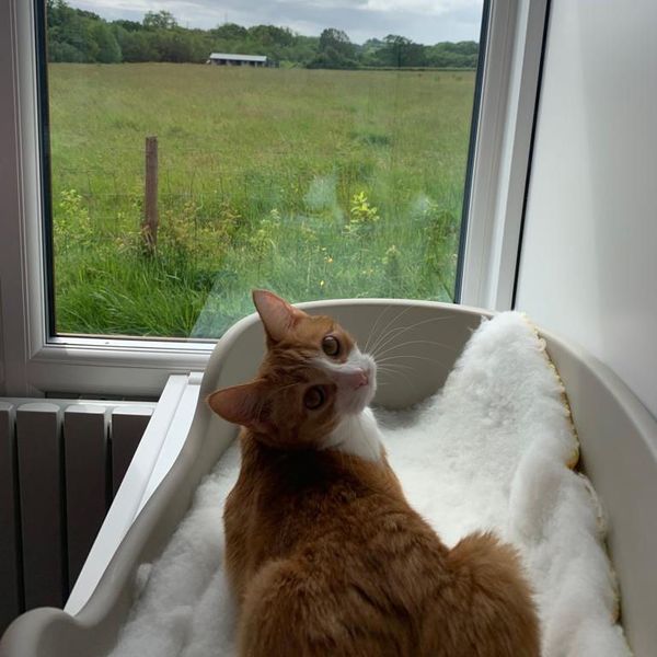 A room with a view