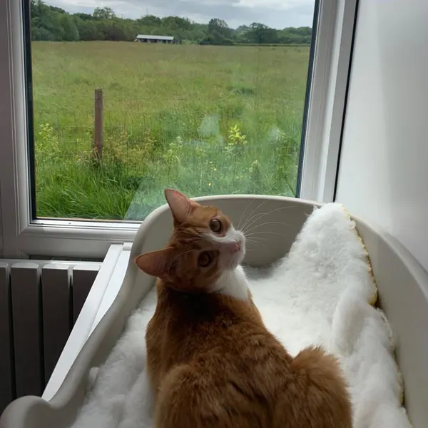 A room with a view