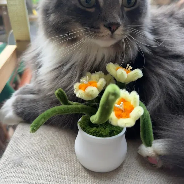 A beautiful long haired guest with flowers